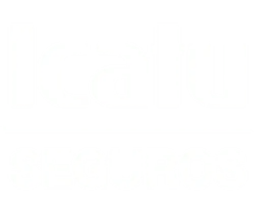 Icatu Seguros Icatu Seguros