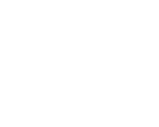 Stake Stake