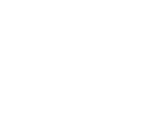 Vesna Publi Vesna Publi